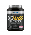 Bigjoy BigMass +Gh Factor  Çilek